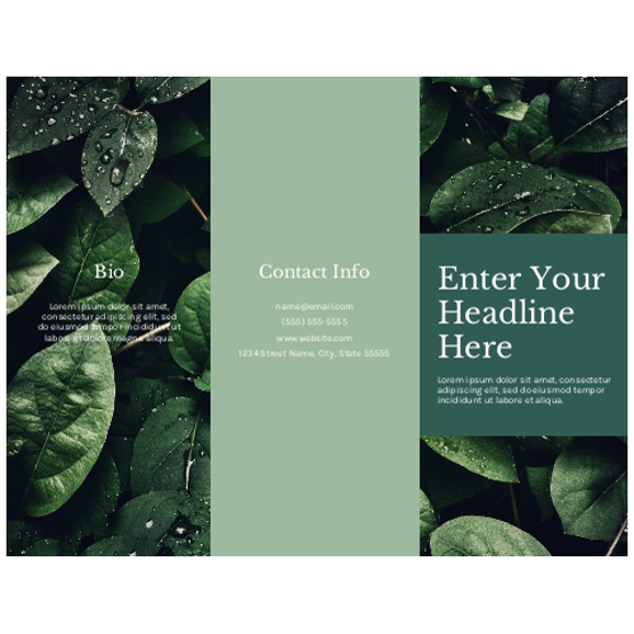 Brochure 13 - 8.5" x 11"