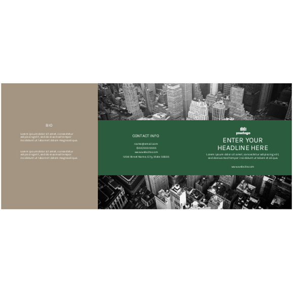 Brochure 3 - 25.5" x 11"