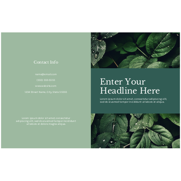 Brochure 13 - 11" x 17"