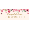 Banner 21 - 8' x 3'